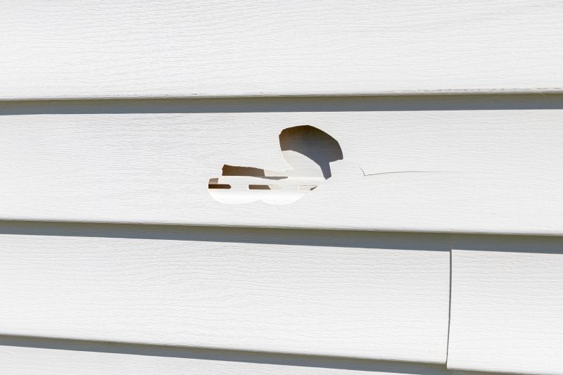 Vinyl Siding Repair Expert Image 3