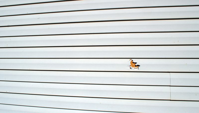 Vinyl Siding Repair Process Image 2