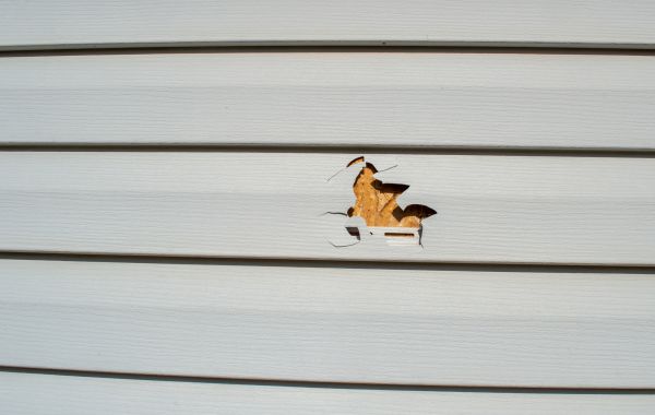 Siding Hole Patching